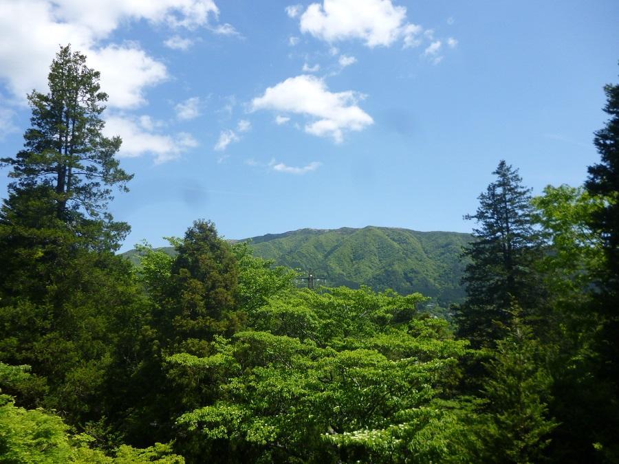 Kaze No Ne Otel Hakone Dış mekan fotoğraf